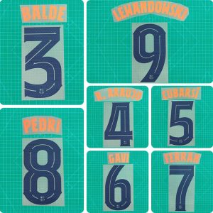 Football Idol Numbers 25-26 Barcelona Away II LEWANDOWSKI Football Jersey Number PEDRI Team numbers and names GAVI