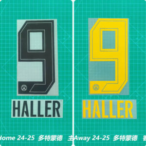 Football Idol Numbers 24-25 Dortmund Home Football Jersey Number HALLER Team numbers and names