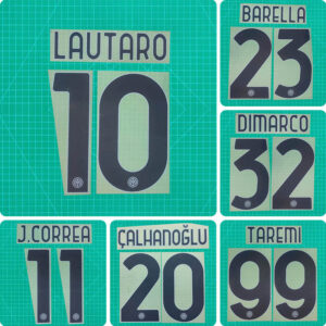 Football Idol Numbers 24-25 Inter Milan Away LAUTARO Football Jersey Number J.CORREA Team numbers and names TAREMI