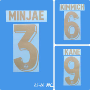 Football Idol Numbers 25-26 Bayern Special Edition Football Jersey Number KANE Team numbers and names KIMMICH