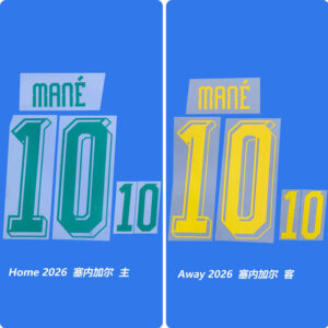 Football Idol Numbers World Cup 2026 Senegal Home MANE Football Jersey Number