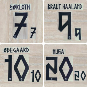 Football Idol Numbers 2026 World Cup Norway Away II HAALAND Football Jersey Number SORLOTH Team numbers and names ODECAARD