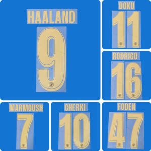 Football Idol Numbers 2026-27 Manchester City Away Football Jersey Number HAALAND Team numbers and names CHERKI