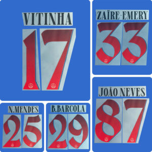 Football Idol Numbers 26-27 PSG Paris Away Football Jersey Number N.MENDES Team numbers and names VITINHA